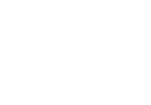 stlr-logo-square-white